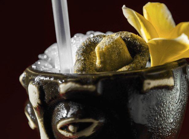 Naaga Gallery